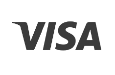 VISA_Logo-File_Greyscale_Transparent