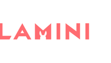 left-logo_360x200px_kamini