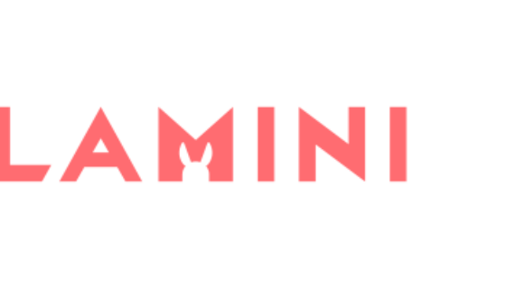 left-logo_360x200px_kamini